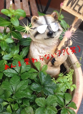 karu2.jpgのサムネール画像