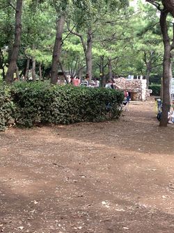 公園.JPG