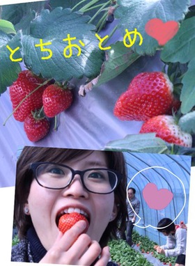苺.jpeg