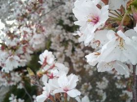 2013-03-26 16.02.51.jpg
